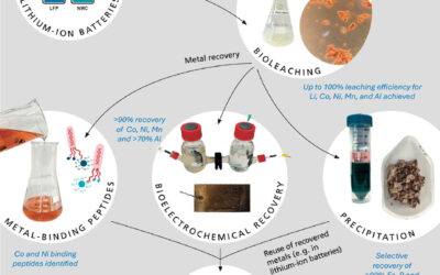 FuLIBatteR Project 3: Bio-hydrometallurgical Treatment of LIB Residues