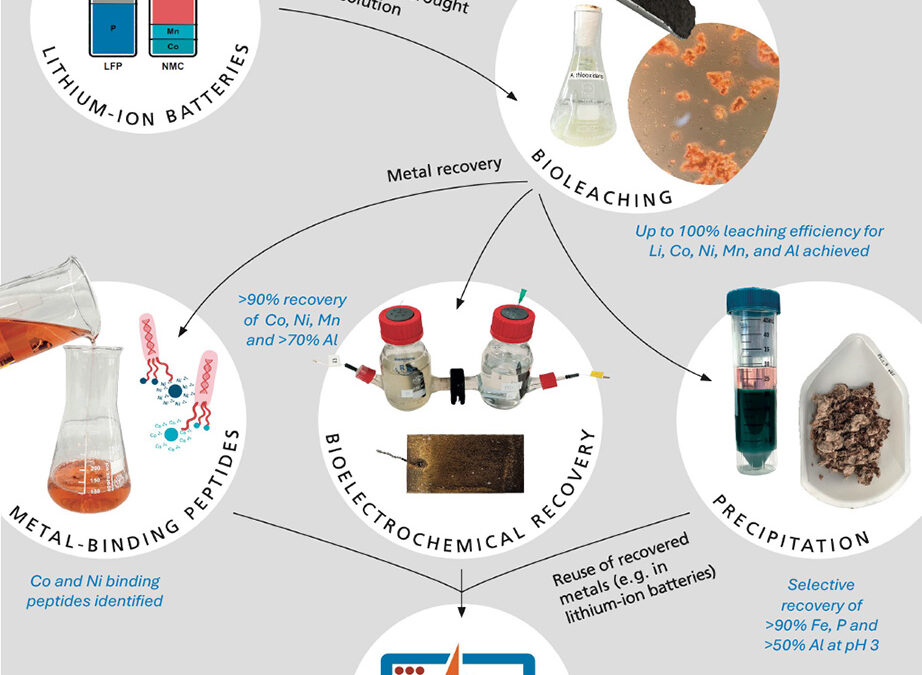 FuLIBatteR Project 3: Bio-hydrometallurgical Treatment of LIB Residues