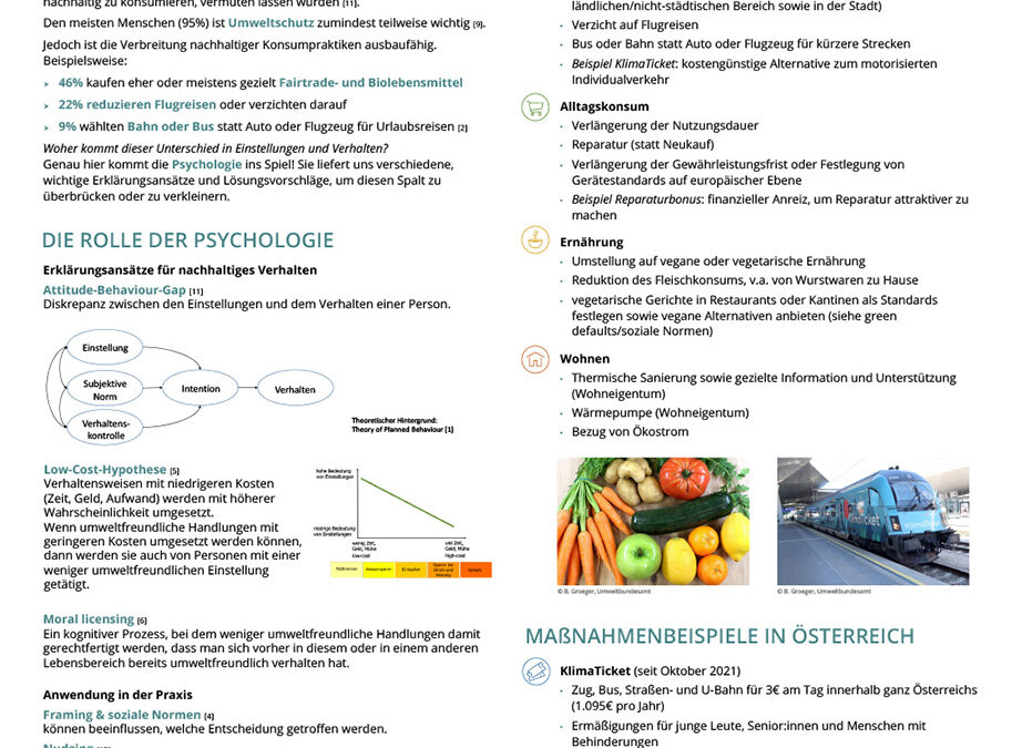 Nachhaltige Aktivitäten und Konsumpraktiken aus Sicht der Umweltpsychologie